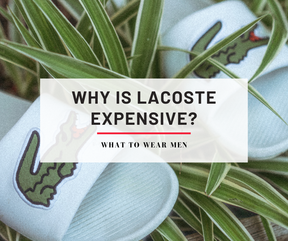 Kammer salami Lærerens dag Why Is Lacoste Expensive? Everything You Need to Know - What to Wear Men