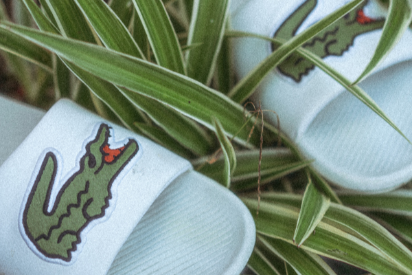Lacoste Sandals, Lacoste Crocodile Logo